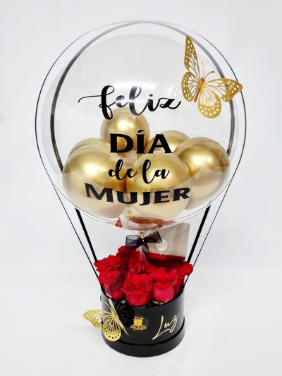 MINI ROSAS