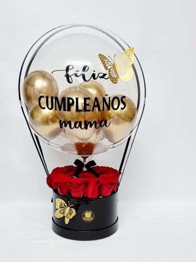 gb solo rosas rojas