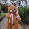 oso teddy coqueto