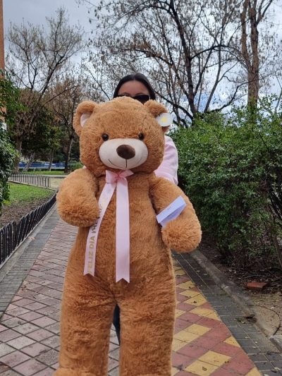 oso teddy coqueto