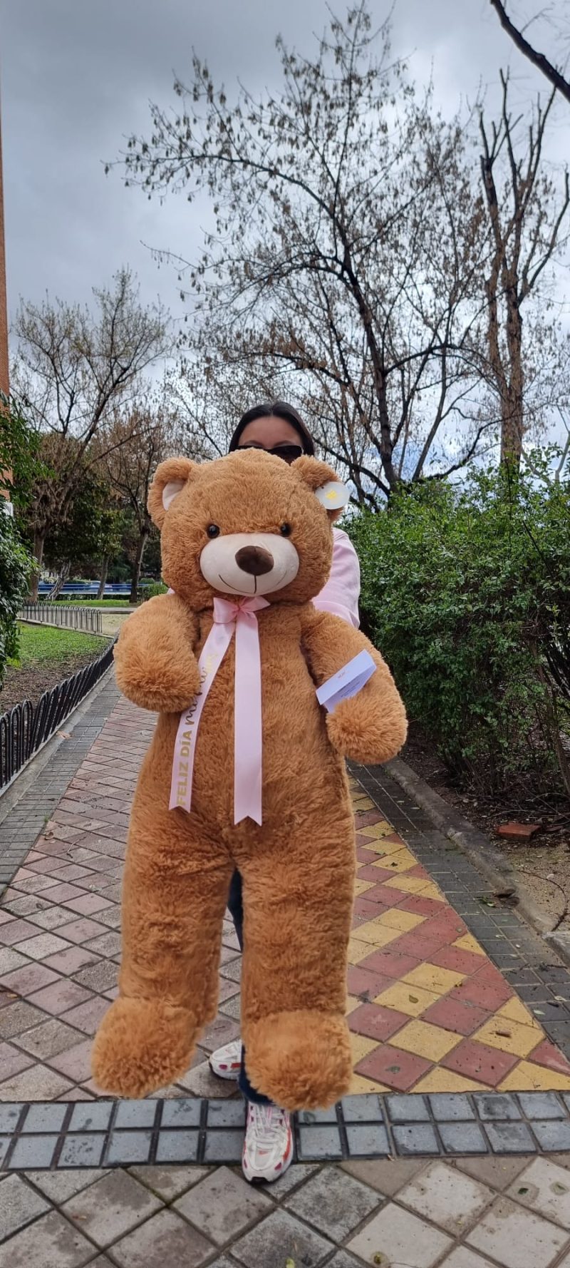oso teddy coqueto