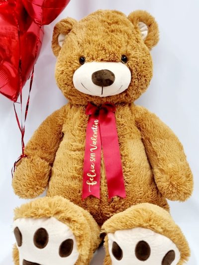 Oso Teddy con Globos