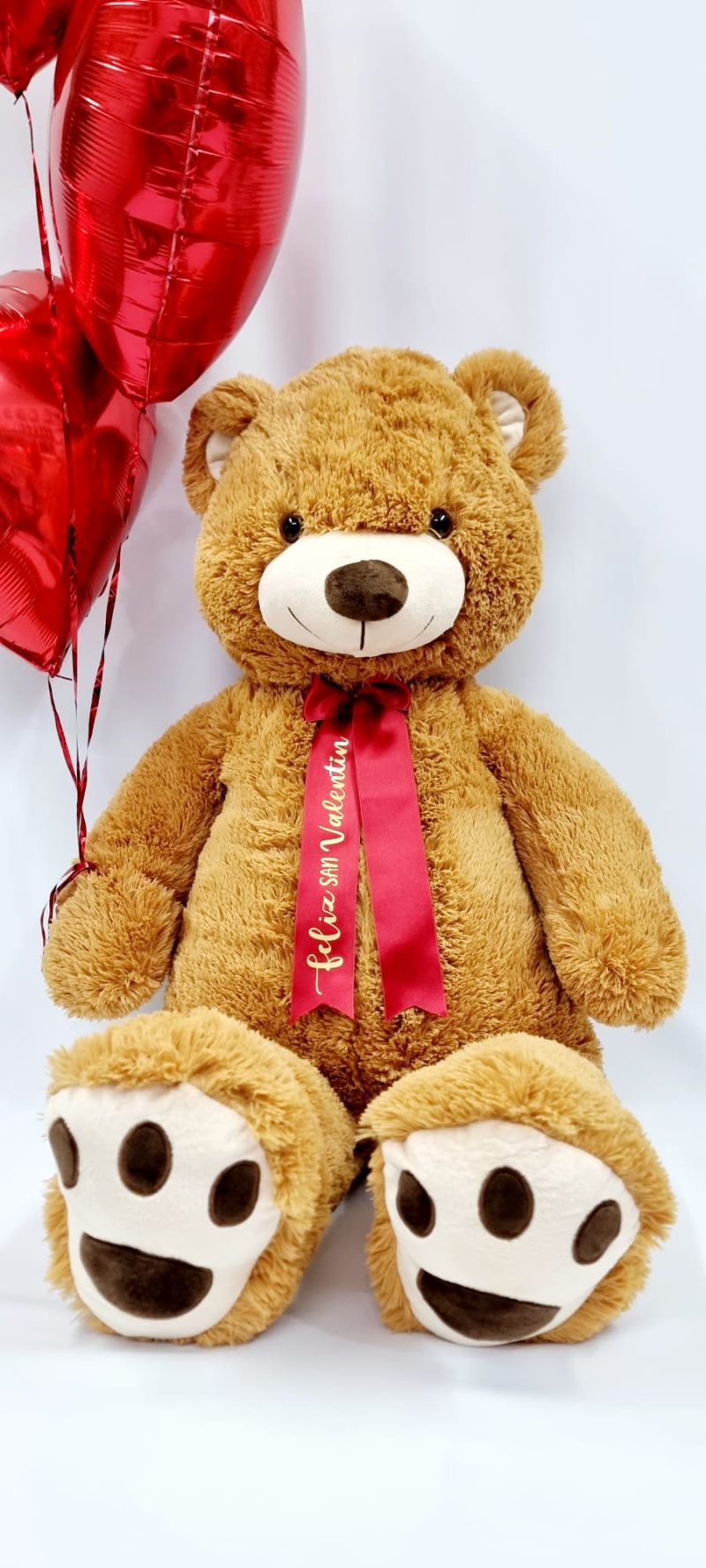 Oso Teddy con Globos