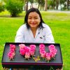SOLO ROSAS