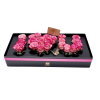 Estuche I LOVE YOU solo Rosas
