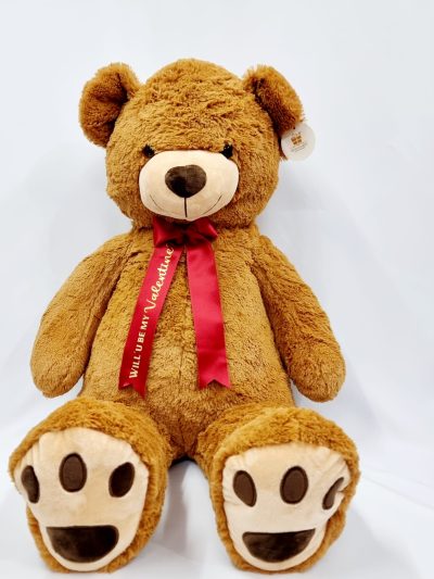 WhatsApp Image 2025-03-16 at 01.48.50 peluche teddy