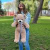 Teddy 60 cmt
