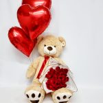 Oso Teddy Rojo