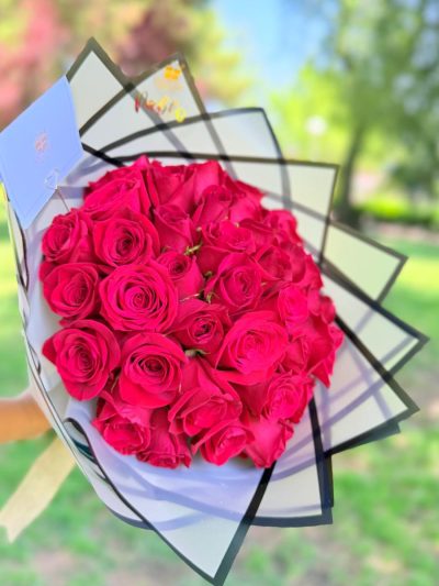 rosas 24