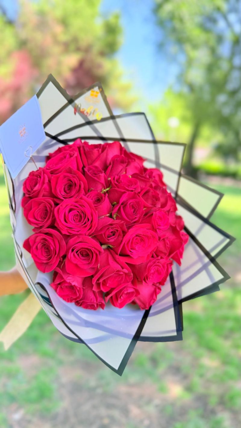rosas 24