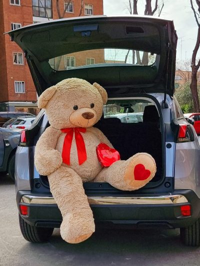 Super Teddy XXL